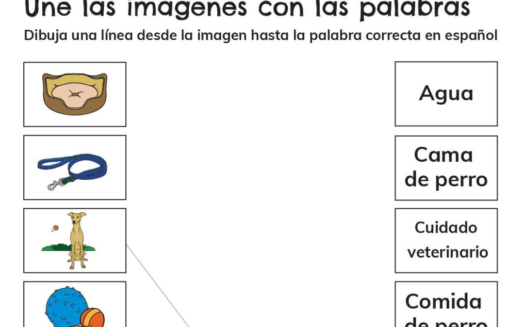 Actividad de emparejar (imágenes con palabras)