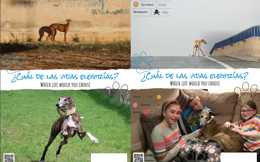 ¿Qué vida elegirías? – Carteles