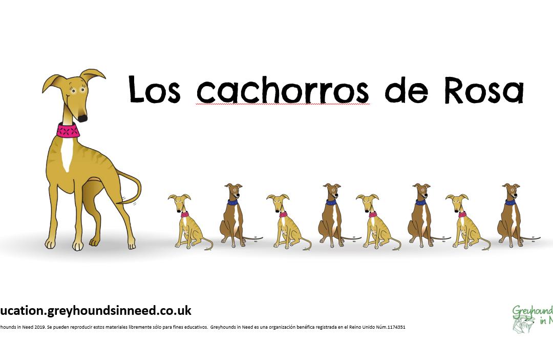Los cachorros de Rosa – Una mezcla de diversión, debate y actividades de matemáticas